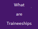 What are Traineeships
