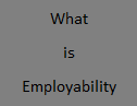 What is Employability